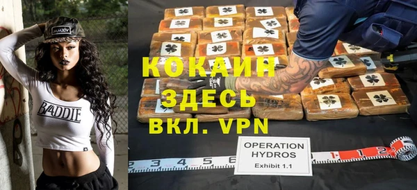 дмт Гусев