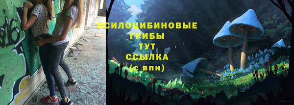 мет Дмитриев